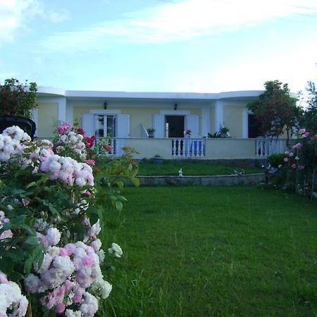 Zante Summer Retreats - Marietta'S Apartment2 Drosia Kypseli エクステリア 写真