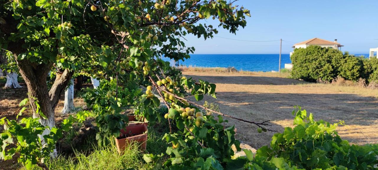 Zante Summer Retreats - Marietta'S Apartment2 Drosia Kypseli エクステリア 写真