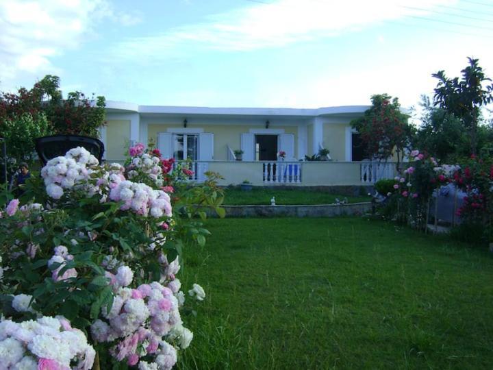 Zante Summer Retreats - Marietta'S Apartment2 Drosia Kypseli エクステリア 写真